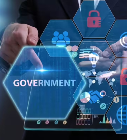 Government Sector